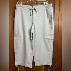 Danskin Now Light Gray Pants